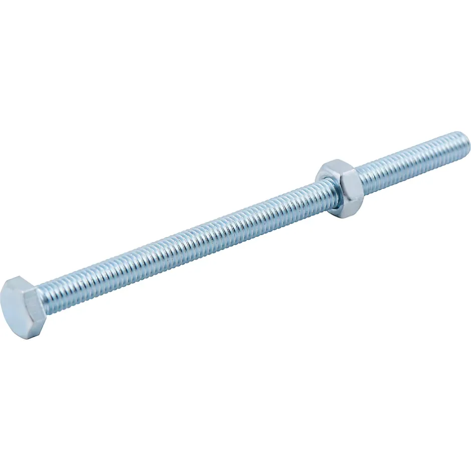 10 boulons tête héxagonale zingué 6 x 100 mm^Diall Online