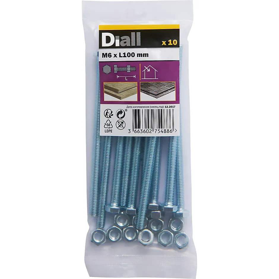 10 boulons tête héxagonale zingué 6 x 100 mm^Diall Online