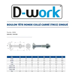 100 Boulons Tête Ronde Collet Carré TRCC 7 x 60 mm - DIN 603 - Zingué blanc -^D-Work Sale