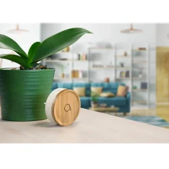 2 Carillons Bamboo et 1 bouton sans fil sans pile Bamboo^Avidsen New