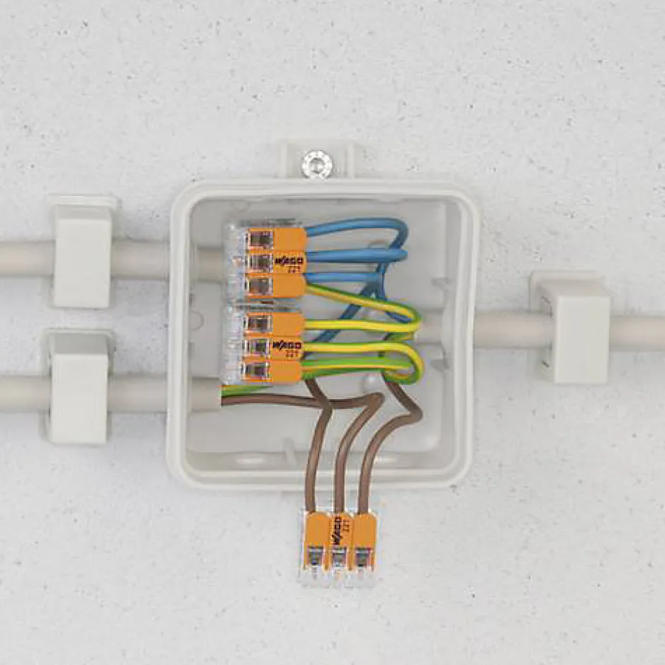 100 connecteur 2 entrées pour fil souple ou rigide-Wago Clearance