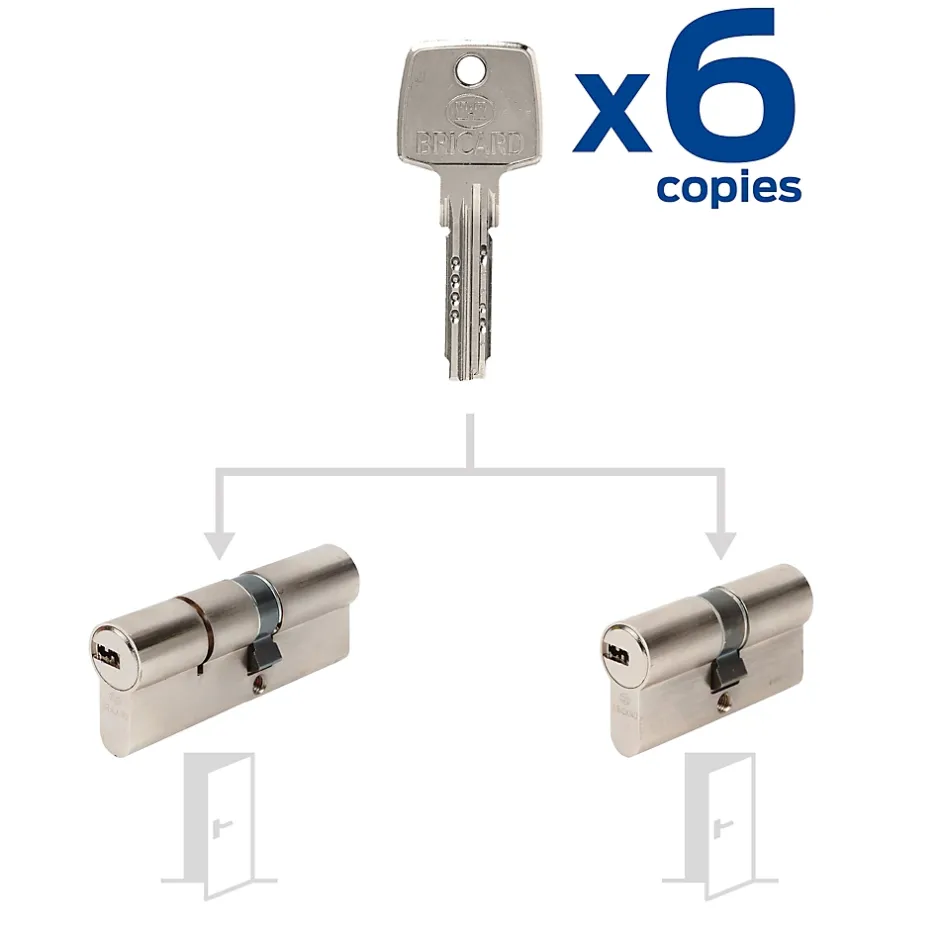 2 Cylindres débrayables 40x50/30x30 mm avec 6 clés-Bricard Outlet