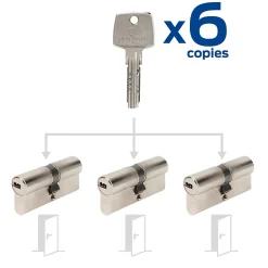 3 cylindres débrayables 35x35 mm avec 6 clés^Bricard Hot