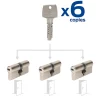 3 Cylindres débrayables 30x30/30x30/30x30 mm avec 6 clés-Bricard Hot