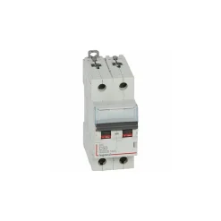 407789 Disjoncteur Bipolaire 50a - 2p Courbe C - 6/10ka - à Vis - Dx3^Legrand