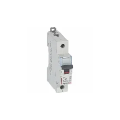 407658 Disjoncteur Unipolaire 40a - 1p Courbe C - 6/10ka - à Vis - Dx3-Legrand Clearance