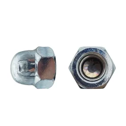 50 Ecrous Borgnes M20 mm - DIN 1587 - Zingué blanc -^D-Work Best