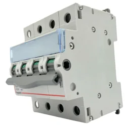406481 Interrupteur Sectionneur Tétrapolaire 4p 400v - 63a - 4 Modules - Bornes à Vis Dx3-is^Legrand Outlet
