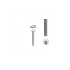 1 kit composés de 25 vis M4X30 mm zinguée^Hardwarexchange Sale