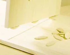 50 lamelles d'assemblage n°10^Wolfcraft Hot