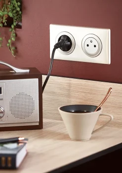 2 prises 2 P+T pré-câblées Céliane titane^Legrand New