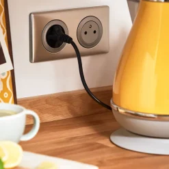 2 prises 2 P+T pré-câblées Céliane titane^Legrand New