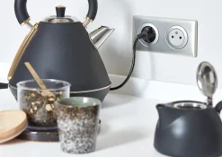 2 prises 2 P+T pré-câblées Céliane titane^Legrand New