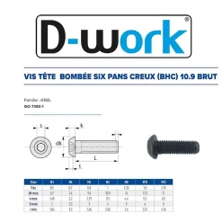 200 Vis Métaux Tête Bombée 6 Pans Creux F/Total BHC 6 x 10 mm - 7380-1 - 10.9 - Brut --D-Work Best