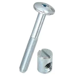 4 vis têtes bombés acier zingué Ø6 x l.70mm-Diall