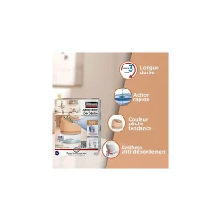 Absorbeur d'humitidé anti-odeur Aéro 360 20m2 coloris pêche^Rubson Discount