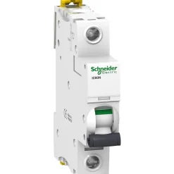 A9f74102 Schneider Ic60n Disjoncteur 1p Schneider 2a - 1p - Courbe C - 50ka - à Vis-Schneider Electric Best