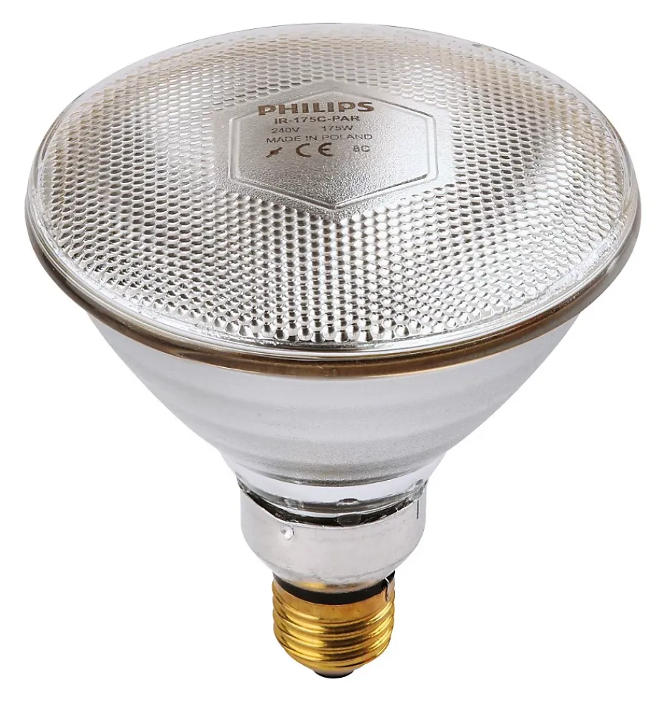 Ampoule IR/PAR blanche 100W^Philips Clearance