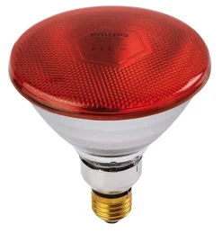 Ampoule IR/PAR rouge 100W-Philips Sale