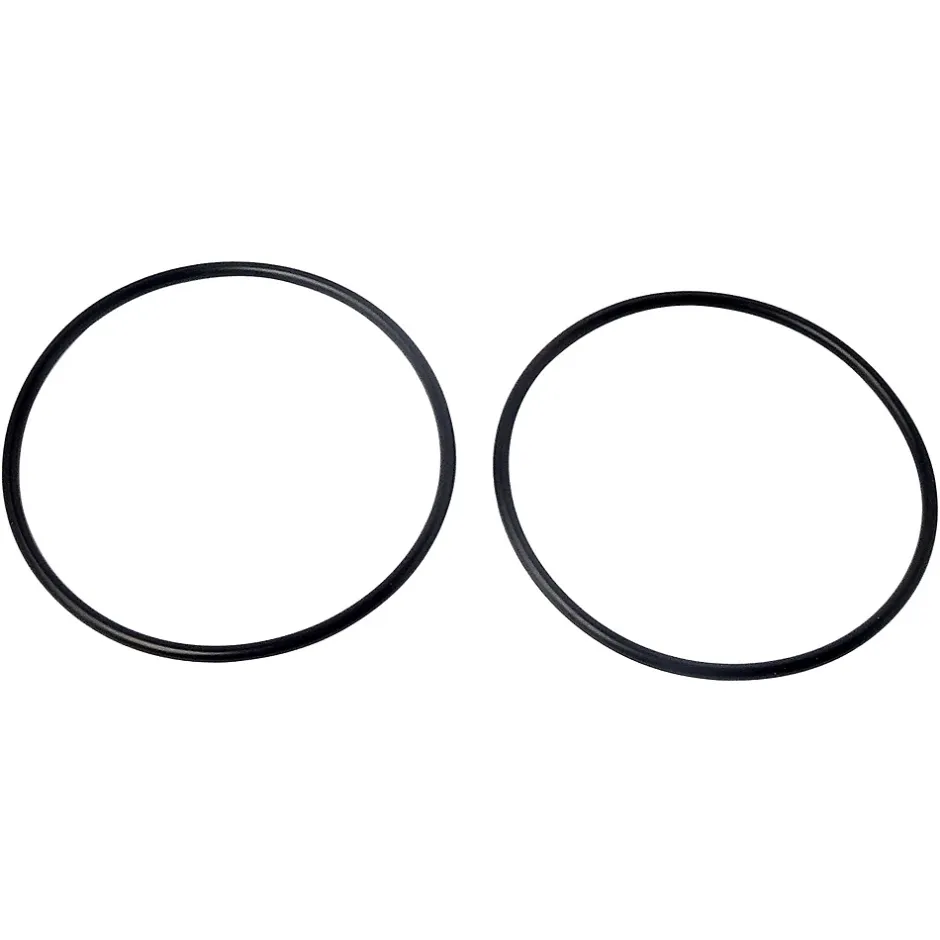 - Lot de 2 joints toriques pour bol de filtration (porte-filtre)^Aquawater Online