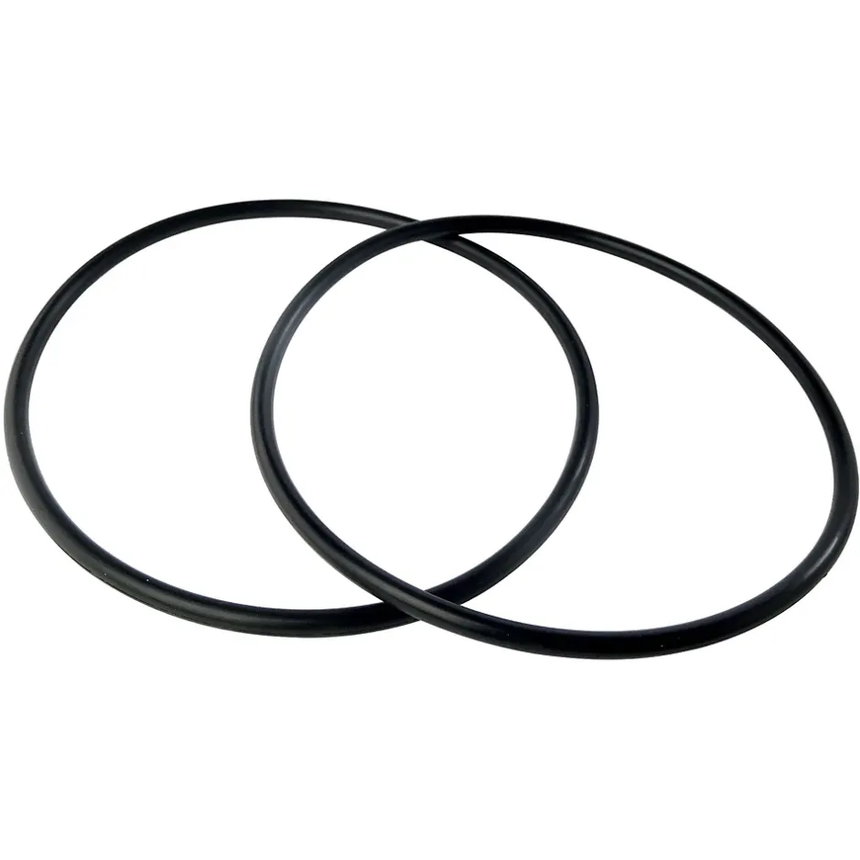 - Lot de 2 joints toriques pour bol de filtration (porte-filtre)^Aquawater Online