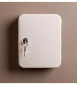 Armoire à clés murale Boite à clés à serrure rangement 20 crochets^Autres New