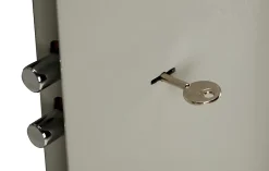 Armoire à fusils serrure double panneton BCK/5 – 5 armes avec coffre munitions – l.22 x H.138 x P.31,5 cm^Technomax Sale