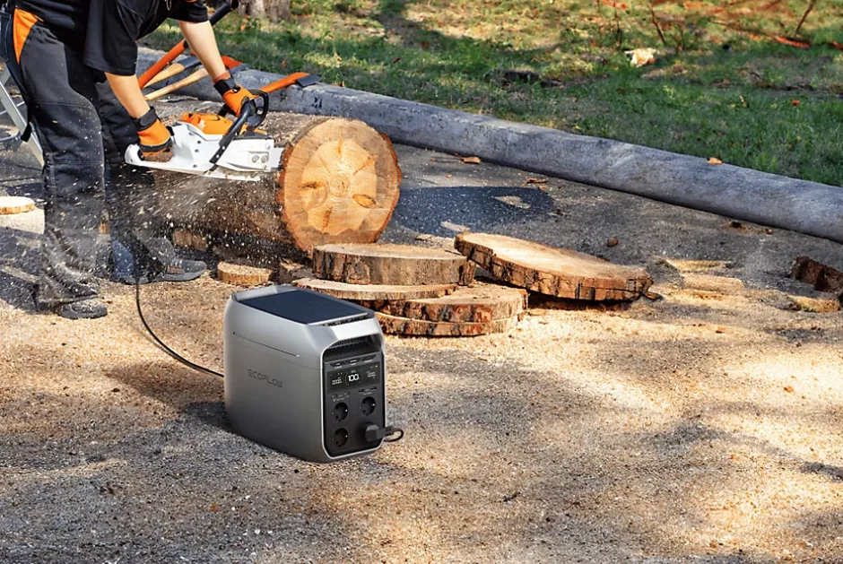 Batterie Delta 3 lifepo4 1024W-EcoFlow Best