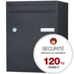 Boite à colis Atout 1 porte Noir Sablé RAL 2100MS-Renz New