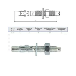 Boite de 200 Goujons d'ancrage métallique M.6x45mm^Lem Select Hot
