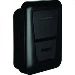 BORNE WITTY ONE 7KW PRISE T2S +TIC+ PROTECTIONS-Hager