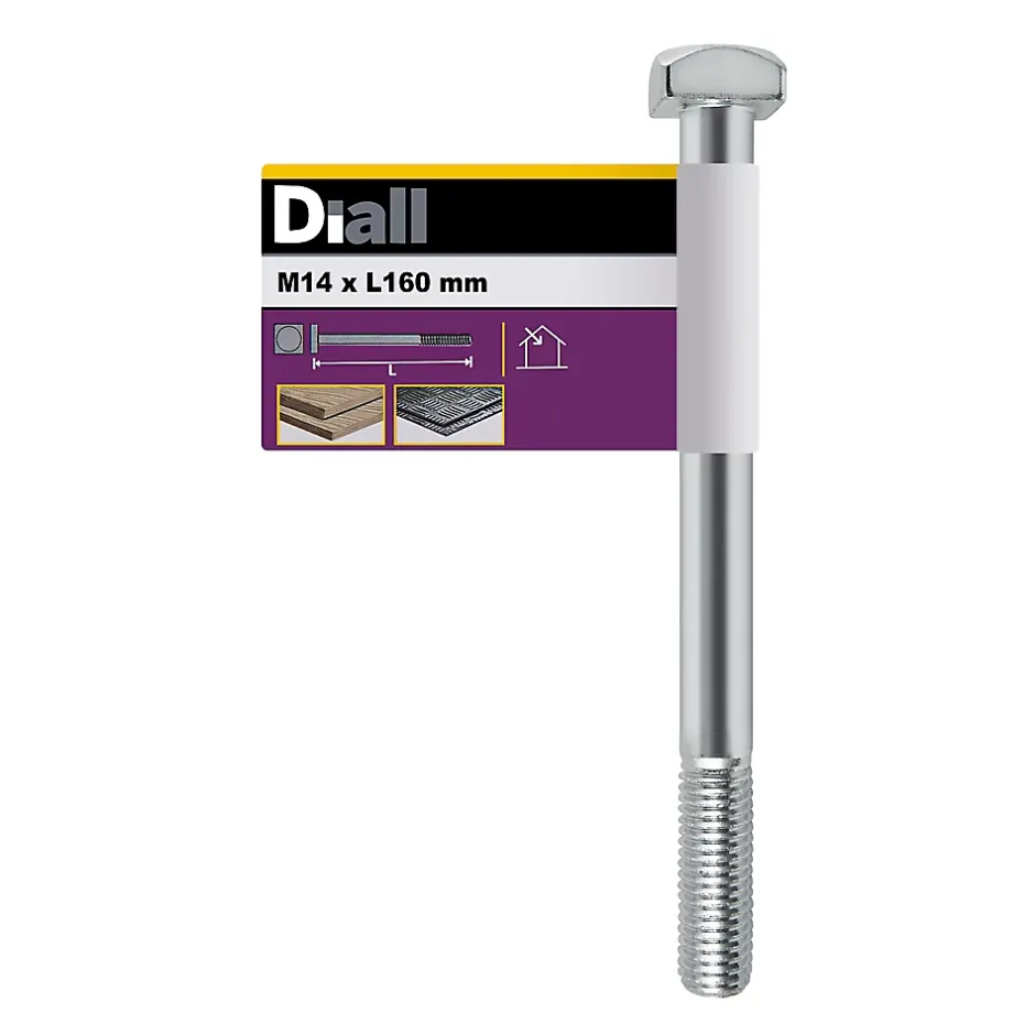 Boulon de charpente galvanisé 14 x 160 mm-Diall Online