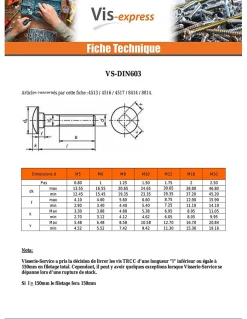Boulon (vendu avec Ecrou) TRCC JAPY tête ronde collet carré M12X100 Filetage total Acier zingué - 50 pièces-Vis Express Hot