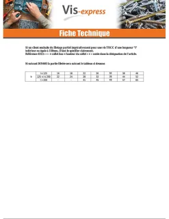 Boulon (vendu avec Ecrou) TRCC JAPY tête ronde collet carré M6X60 Filetage partiel Acier zingué - 30 pièces-Vis Express