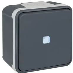 Bouton poussoir lumineux 10A - IP55 - OXXO Couleur Gris^Eurohm