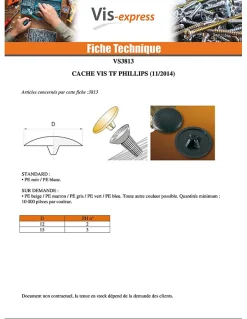 Cache tête Plastique Phillips de 2 RAL9002 blan gris Nylon Blanc Gris - 50 pièces-Vis Express Discount