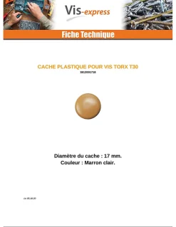 Cache vis TORX TORX T30 Diamètre de tête: 17 Nylon Marron CLAI - 1000 pièces^Vis Express Discount