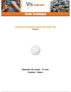 Cache vis TORX TORX T30 Diamètre de tête: 17 nylon blanc - 100 pièces-Vis Express Hot