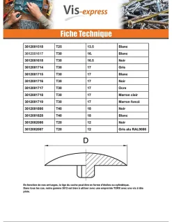 Cache vis Tête fraisée TORX TORX T25 Diamètre de tête: 13.5 nylon blanc - 100 pièces^Vis Express Sale