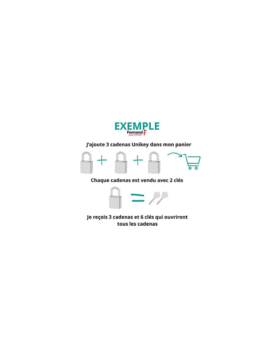 Cadenas à clé Astra UNIKEY (achetez-en plusieurs, ouvrez avec la même clé), 70mm, anse acier, 2 clés --Thirard Online