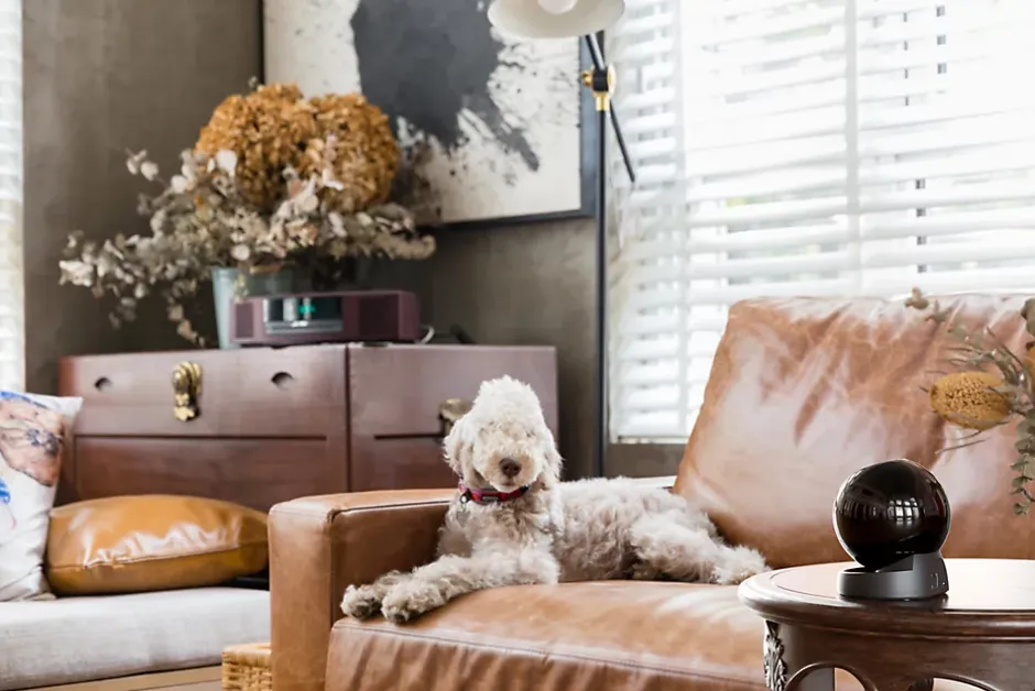 Caméra IP WiFi avec zoom 16x - IPC-GS2DP-3K0W- --Imou Outlet