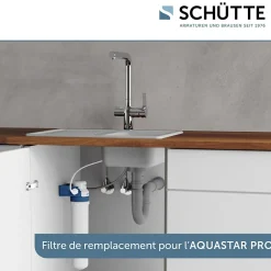 Cartouche Filtrante BWT pour mitigeur filtrant AQUASTAR Pro^Schütte Hot