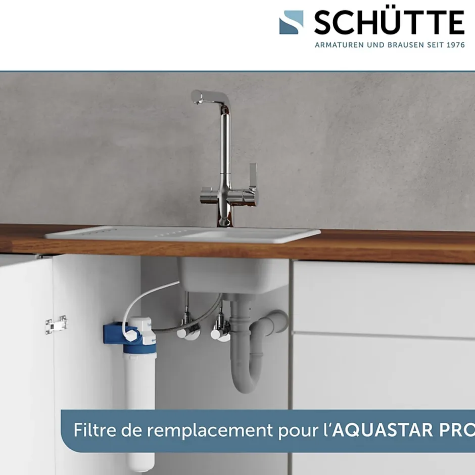 Cartouche Filtrante BWT pour mitigeur filtrant AQUASTAR Pro^Schütte Hot