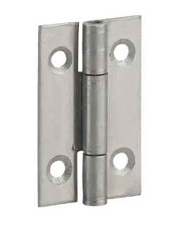 Charnière de porte de meuble / porte légère, 40x25mm, inox 309 --Thirard Outlet