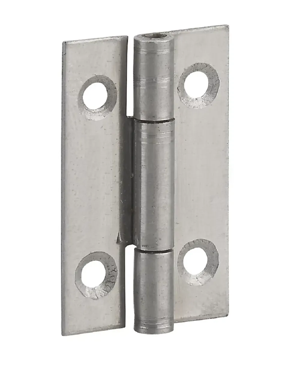 Charnière de porte de meuble / porte légère, 40x25mm, inox 309 --Thirard Outlet