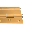 Charnière va et vient à ressort, 120X40 mm, en aluminium anodisée or, pour porte de 40 mm.^Hardwarexchange Sale