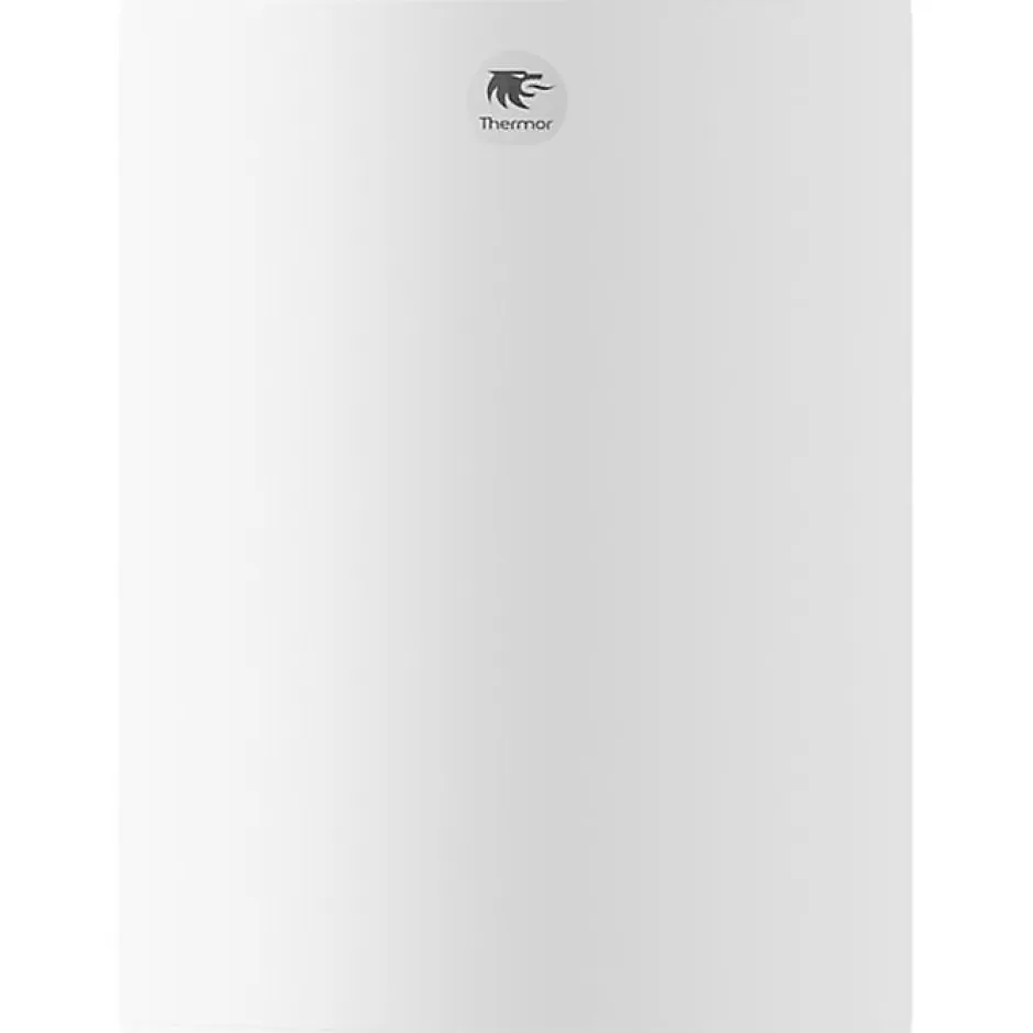 Chauffe-eau électrique Duralis - Vertical mural - 100 L-Thermor Best
