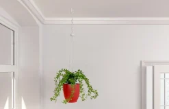 Cheville autoforeuse pour plaque de plâtre DuoBlade EH D 6 K^Fischer