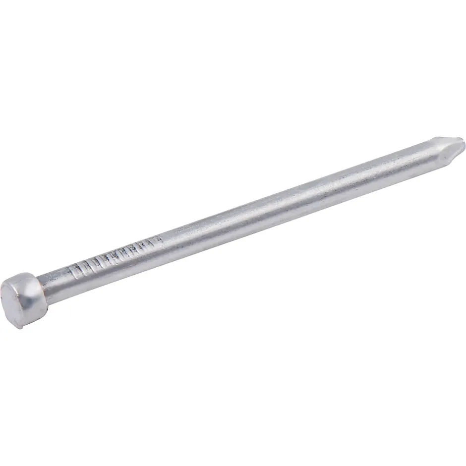 Clous à tête d'homme ronde en acier galvanisé 3x50 - 5kg-Diall Outlet