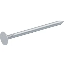 Clous à tête plate en acier galvanisé 3x50 - 2kg-Diall Best